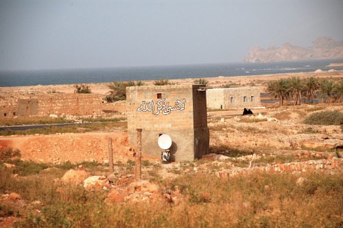 tumblr_inline_nm59dgXom41qcsmk5_500