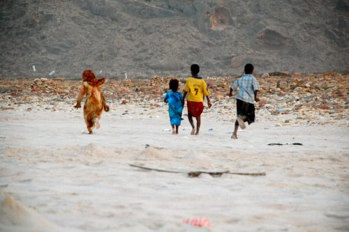 tumblr_inline_nm59fu1r521qcsmk5_500